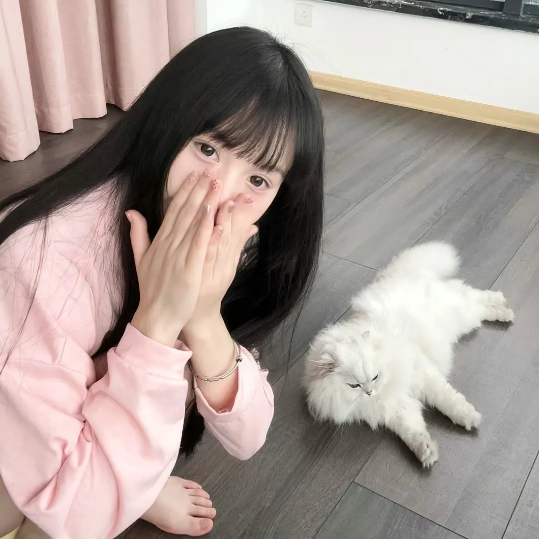 亲爱的同伙