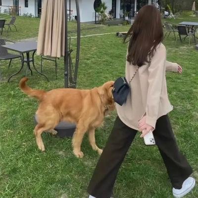 我的奋斗