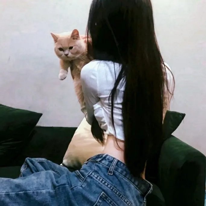 买房夫妻